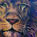 Tattoos - Realistic Lion Tattoo - 48436